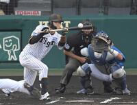 　６回、送りバントを決める中野（撮影・飯室逸平）