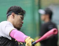 　打撃練習をする佐藤輝（撮影・田中太一）