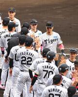　中日に勝利しタッチする佐藤輝ら阪神ナイン（撮影・山口登）