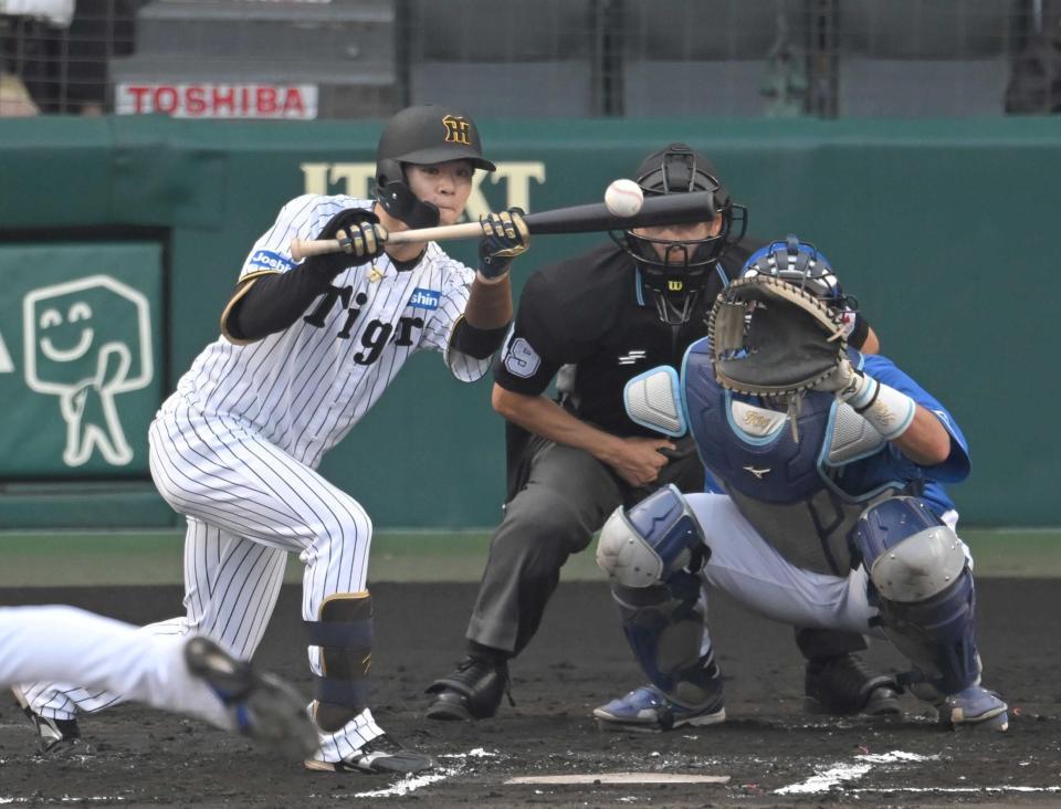 　６回、送りバントを決める中野（撮影・飯室逸平）