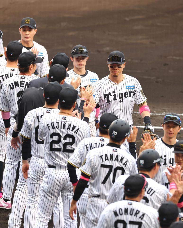 　中日に勝利しタッチする佐藤輝ら阪神ナイン（撮影・山口登）