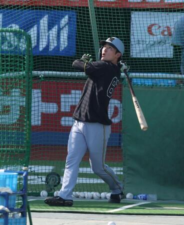 打撃練習する高寺（撮影・金田祐二）