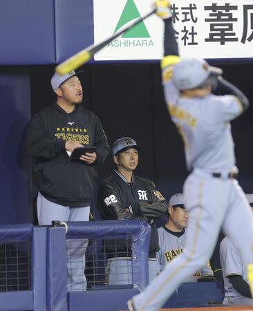 　８回、戦況を見つめる藤川監督（撮影・西岡正）