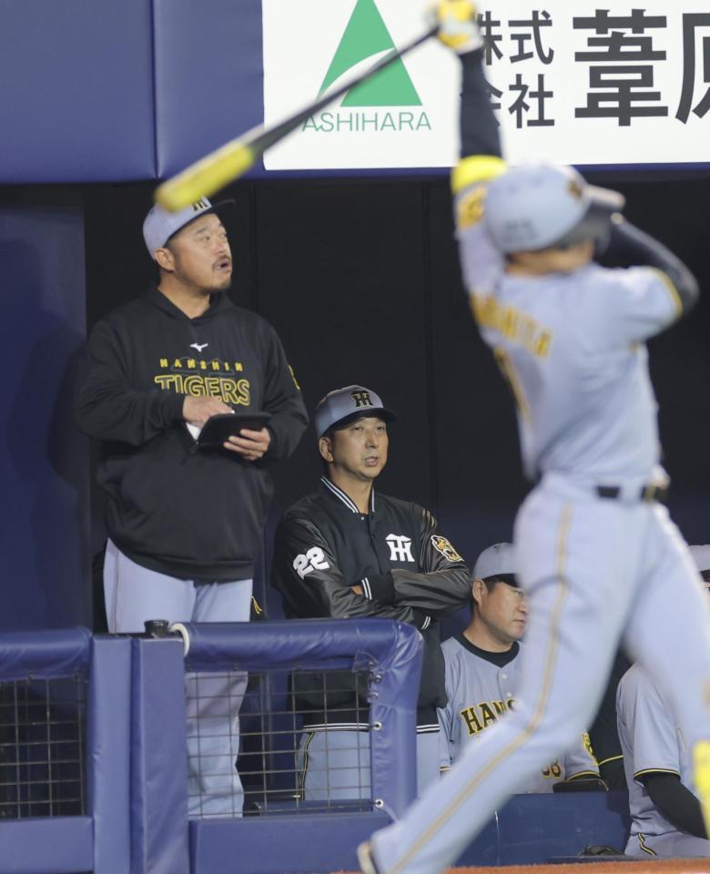 　８回、戦況を見つめる藤川監督（撮影・西岡正）