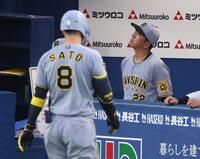 　２回、首をかしげる藤川監督。手前は左飛に倒れた佐藤輝（撮影・金田祐二）