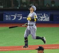 　６回、二直に倒れ悔しがる佐藤輝（撮影・金田祐二）