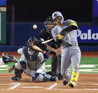 　６回、一邪飛に倒れる森下（撮影・金田祐二）