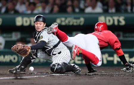 　９回、中野からの返球を落とす坂本（撮影・田中太一）