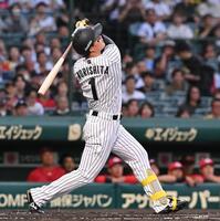 元阪神タイガース 森田一成選手 実用バット 元阪神タイガース 森田一成選手 実用バット