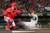 　７回、前川の適時打で生還する佐藤輝（右）＝撮影・西田忠信