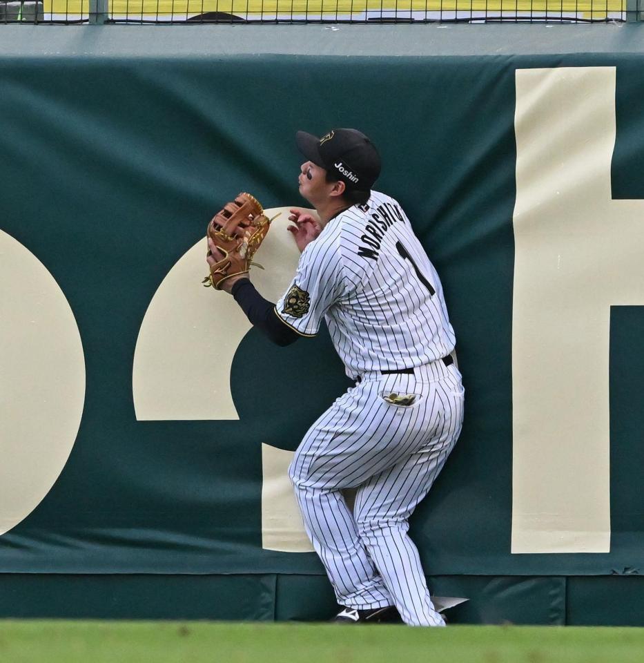 　１回、秋山の打球を追ってフェンスに激突する森下（撮影・西田忠信）