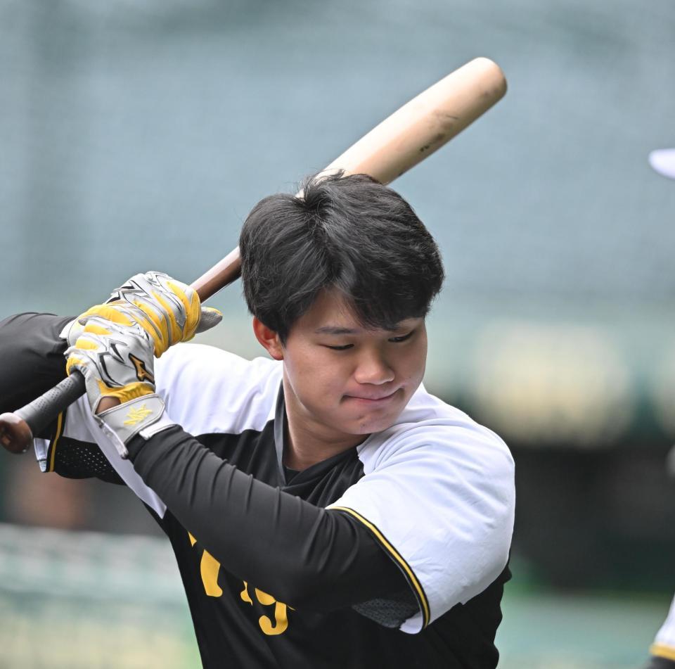 <激レア>阪神タイガース森下選手実使用　 硬式木製バット 激レア>阪神タイガース森下選手実使用 硬式木製バット