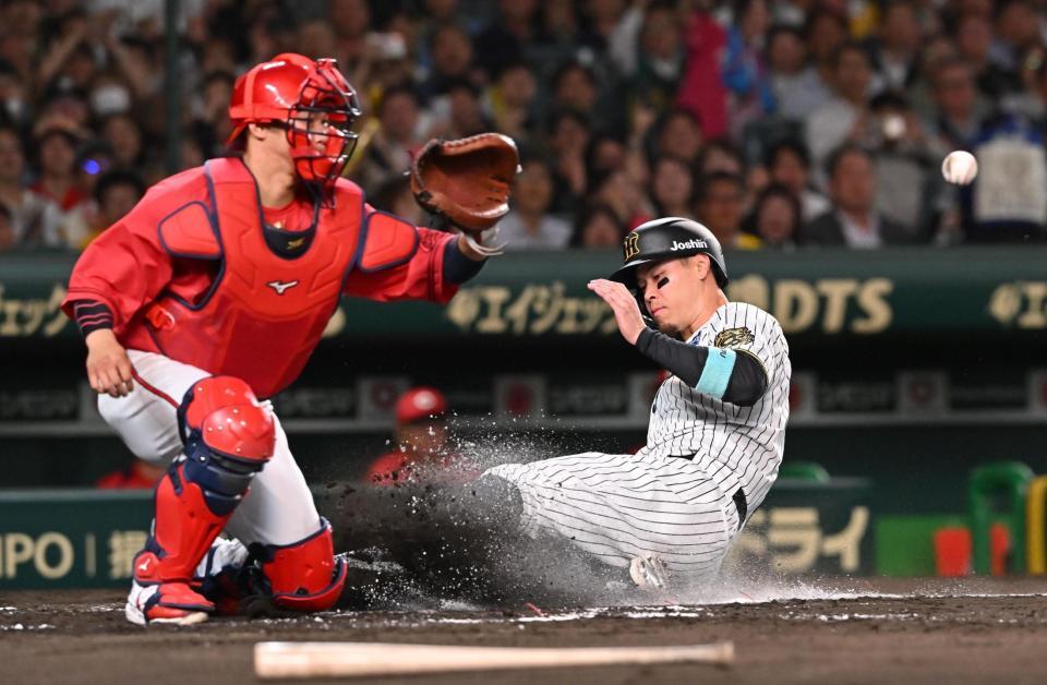 　７回、前川の適時打で生還する佐藤輝（右）＝撮影・西田忠信