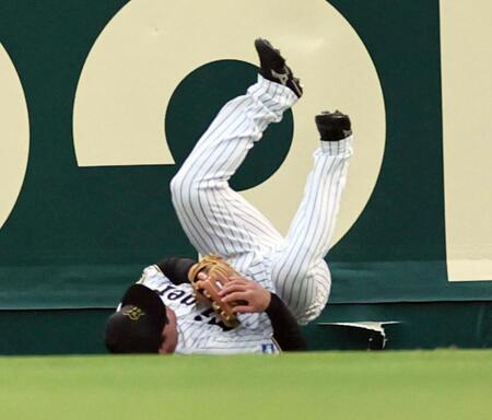 　フェンスに激突し倒れ込む森下（撮影・田中太一）