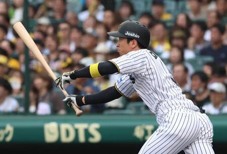 　１回、右前打を放つ近本（撮影・北村雅宏）