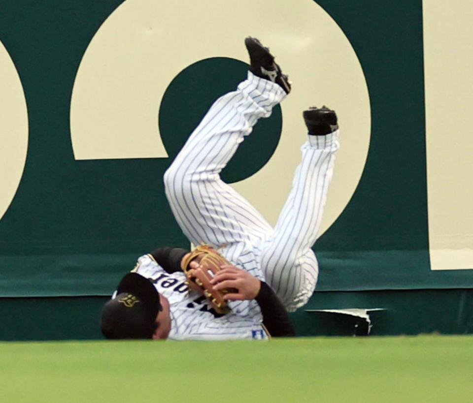 　フェンスに激突し倒れ込む森下（撮影・田中太一）