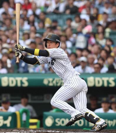 　８回、適時打を放つ近本（撮影・北村雅宏）