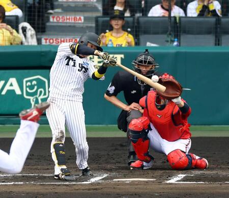 　６回、中前打を放つ近本（撮影・山口登）