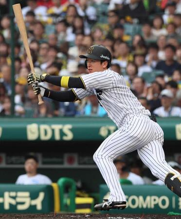 　３回、左前打を放つ近本（撮影・北村雅宏）