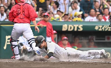 　６回、森下の適時打で生還する中野（撮影・西田忠信）