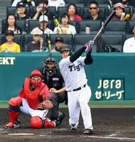 　５回、左翼線に２点適時二塁打を放つ大山（捕手・坂倉）＝撮影・山口登