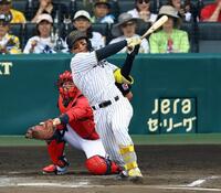 　６回、左前打に適時打を放つ森下（撮影・山口登）