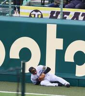 　４回、坂倉の打球を好捕する右翼手・森下（撮影・立川洋一郎）