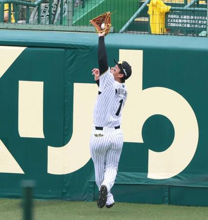 　４回、広島・坂倉の打球を好捕する森下（撮影・立川洋一郎）