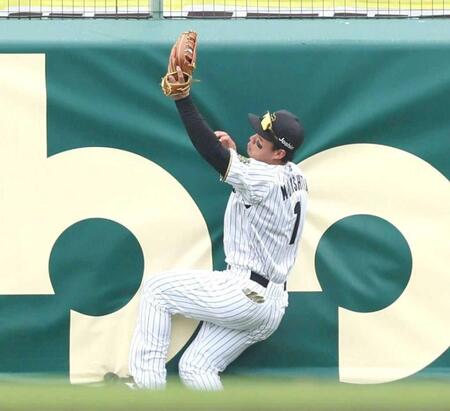 　４回、フェンスに激突しながら捕球する森下（撮影・北村雅宏）