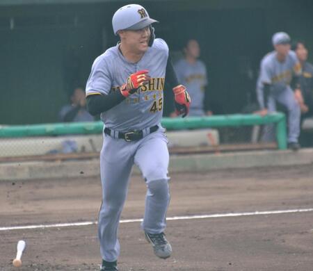 阪神・ドラ５佐野　３安打けん引　打率・３６０と好調「１打席１打席集中して内容にもこだわりたい」