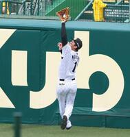 　４回、広島・坂倉の打球を好捕する森下（撮影・立川洋一郎）