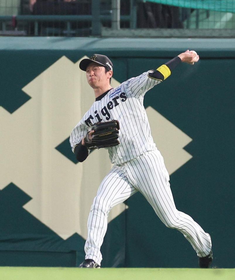 　４回、中山の放ったクッションボールを処理し、中継の中野に送球する近本（撮影・北村雅宏）