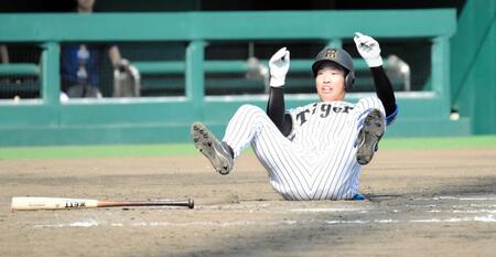 阪神・百崎 ウエスタン首位打者浮上に平田2軍監督「大したもんだよ」