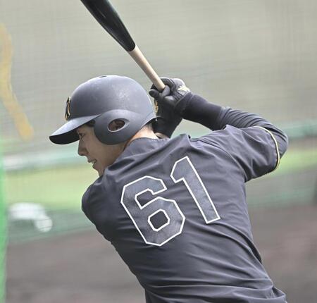 　打撃練習する豊田（撮影・西田忠信）
