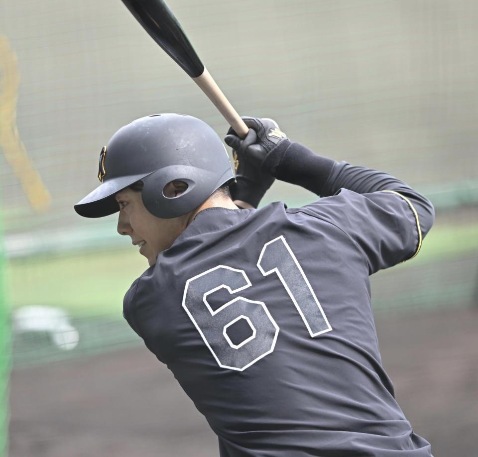 　打撃練習する豊田（撮影・西田忠信）