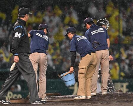 　８回、マウンドの整備をする阪神園芸のスタッフ＝２１日