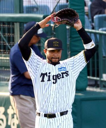 １軍合流し、試合前キャッチボールするヘルナンデス（撮影・山口登）