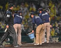 　８回、マウンドの整備をする阪神園芸のスタッフ＝２１日