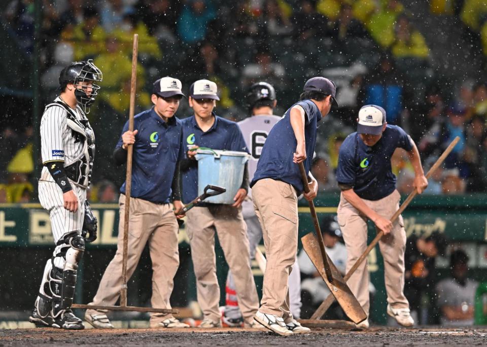 　８回、巨人の攻撃前に打席付近を整備する阪神園芸のスタッフ＝２１日