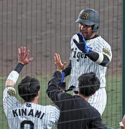 　８回、代打で左前打を放ちナインに迎えられるヘルナンデス（撮影・立川洋一郎）