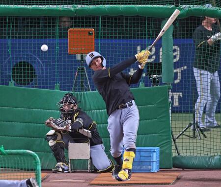 　フリー打撃をする森下（撮影・立川洋一郎）