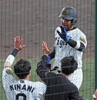 　８回、代打で左前打を放ちナインに迎えられるヘルナンデス（撮影・立川洋一郎）