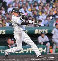 terutigers1024　100周年記念ボール　大山選手 terutigers1024様専用 100周年記念ボール 大山選手