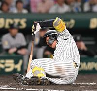 　８回、自打球を受け倒れ込む森下（撮影・西田忠信）