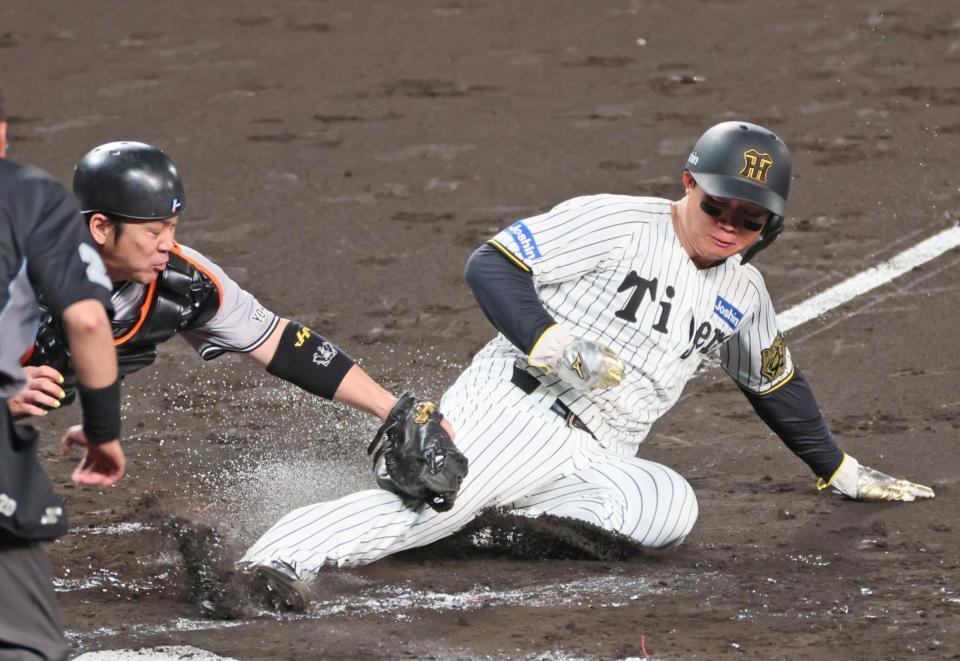 　４回、大山の遊ゴロで本塁を突くもタッチアウトになる森下（撮影・立川洋一郎）