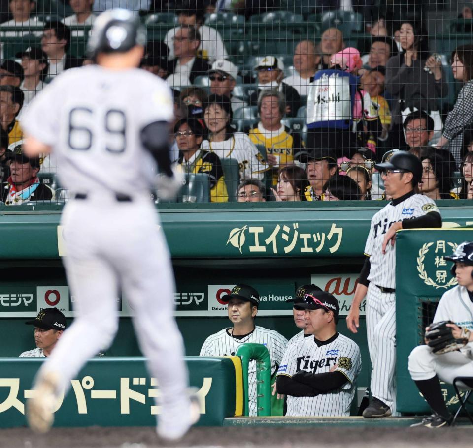 　１１回、ネルソンが勝ち越しを許し、グラウンドを見つめる藤川監督（撮影・田中太一）