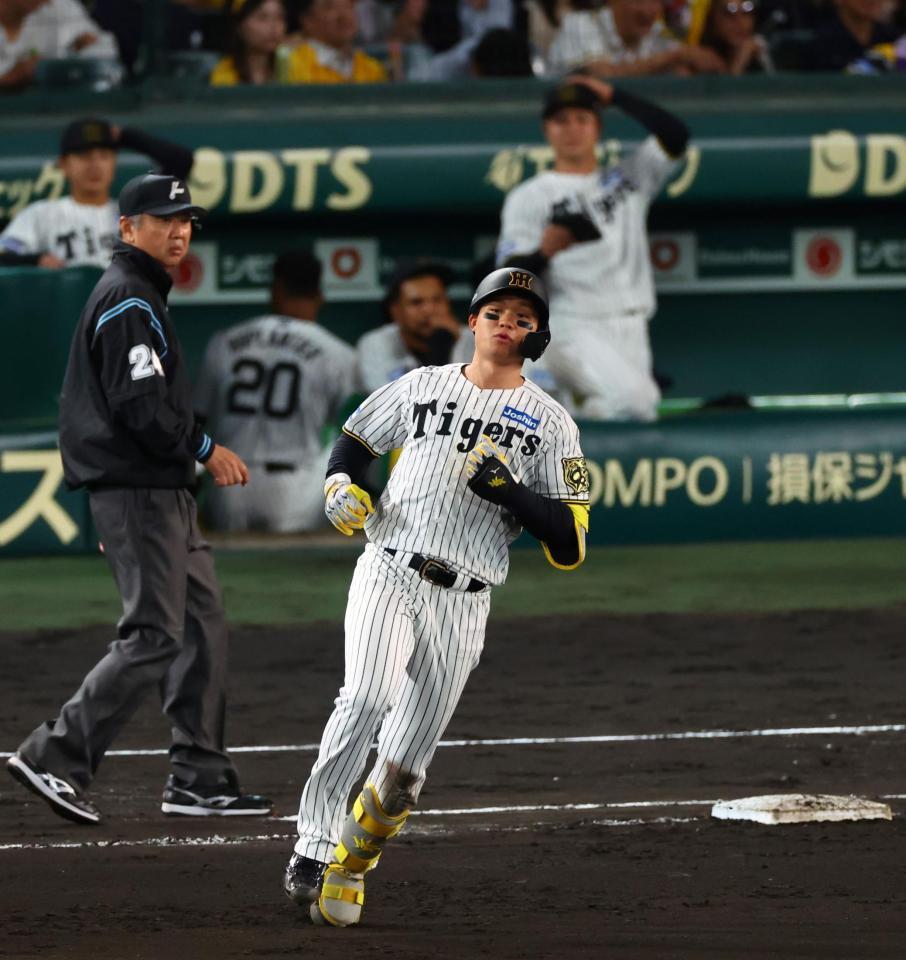 　６回、森下は左飛に倒れる（撮影・山口登）