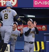 　２回、同点ソロを放った佐藤輝（８）を迎える藤川監督（右）＝撮影・北村雅宏