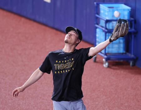 　レフトの守備位置に就き練習する佐藤輝（撮影・立川洋一郎）