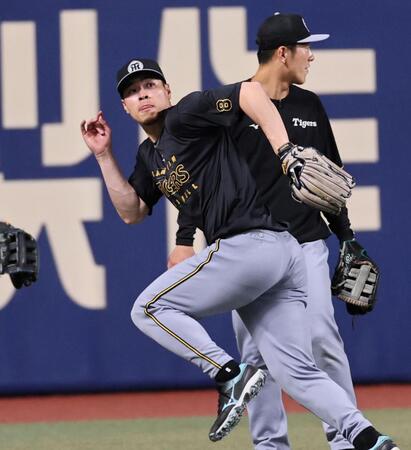　左翼守備の練習をする佐藤輝（撮影・田中太一）